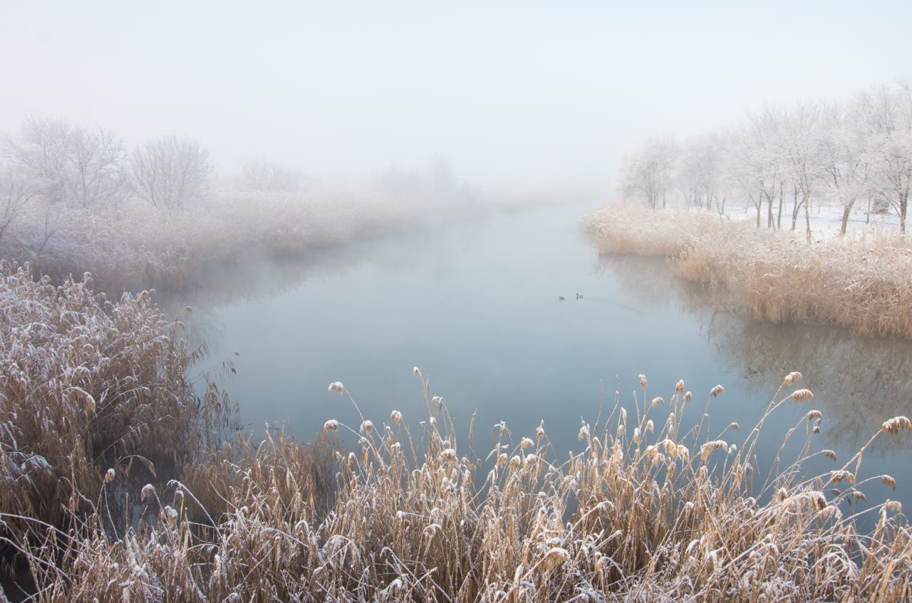 Подведены итоги онлайн-фотоконкурса «Мариуполь в кадре».