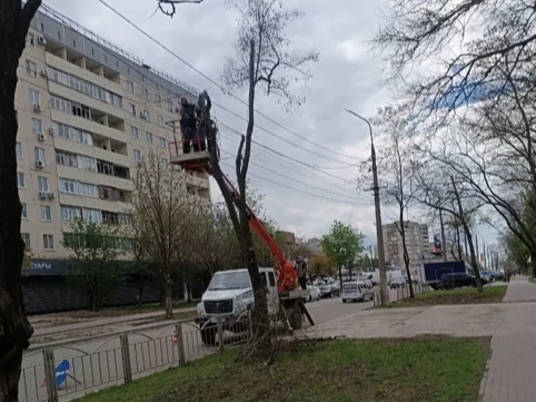 Мариупольские энергетики обследовали более 500 метров воздушных линий.