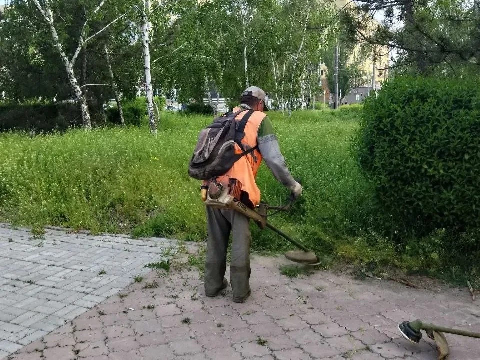 Коммунальные службы продолжают активный покос травы.